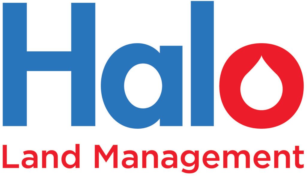 Halo Logo Cropped